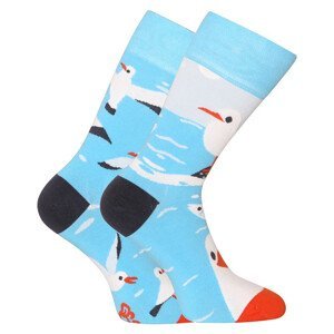 Veselé ponožky Dedoles Racek (D-U-SC-RS-C-C-1459) M