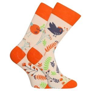 Veselé ponožky Dedoles Roztomilí ptáčci (D-U-SC-RS-C-C-1569) S