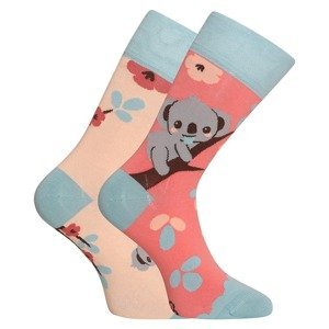 Veselé ponožky Dedoles Ospalá koala (GMRS231) M