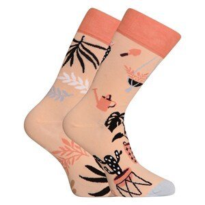 Veselé ponožky Dedoles Pokojové rostliny (GMRS233) L