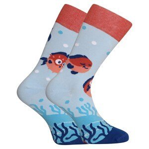 Veselé ponožky Dedoles Vtipný čtverzubec (GMRS243) L