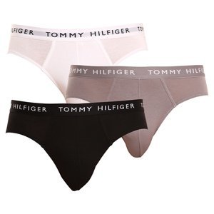 3PACK pánské slipy Tommy Hilfiger vícebarevné (UM0UM02206 0TG) XL