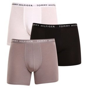 3PACK pánské boxerky Tommy Hilfiger vícebarevné (UM0UM02204 0TG) S