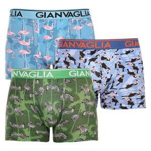 3PACK pánské boxerky Gianvaglia vícebarevné (GVG-5501) XL