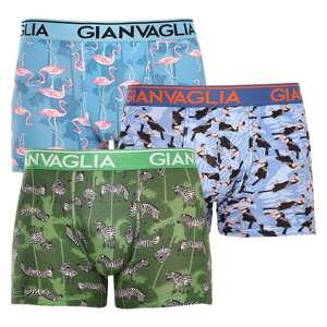 3PACK pánské boxerky Gianvaglia vícebarevné (GVG-5501) XL, trenky / trenýrky