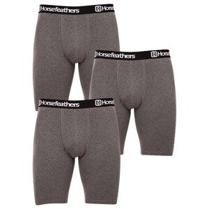 3PACK pánské boxerky Horsefeathers Dynasty long (AM195B) XL, trenky / trenýrky