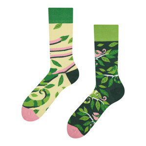 Veselé ponožky Dedoles Maskovaný chameleón (D-U-SC-RS-C-C-1463) L