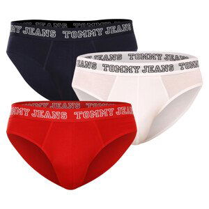 3PACK pánské slipy Tommy Hilfiger vícebarevné (UM0UM02849 0T6) L