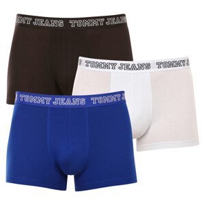 3PACK pánské boxerky Tommy Hilfiger vícebarevné (UM0UM02850 0TV) XXL