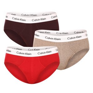 3PACK pánské slipy Calvin Klein vícebarevné (U2661G-CAK) L