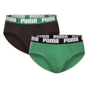 2PACK pánské slipy Puma vícebarevné (521030001 327) M