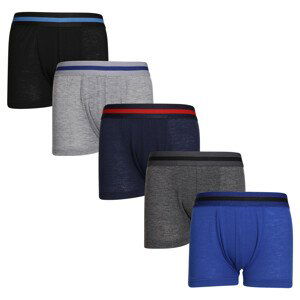 5PACK dětské boxerky Gianvaglia vícebarevné (023) 86