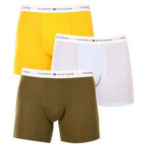 3PACK pánské boxerky Tommy Hilfiger vícebarevné (UM0UM02941 0W8) M