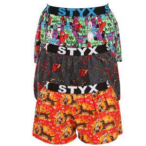 3PACK dámské trenky Styx art sportovní guma vícebarevné (3T15245) L