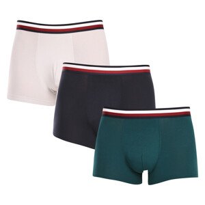 3PACK pánské boxerky Tommy Hilfiger vícebarevné (UM0UM03035 0T1) XXL