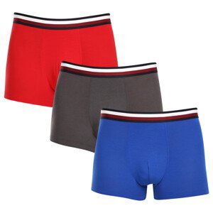 3PACK pánské boxerky Tommy Hilfiger vícebarevné (UM0UM03035 0UG) XL