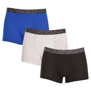 3PACK pánské boxerky Tommy Hilfiger vícebarevné (UM0UM03039 0SH) XL