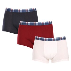 3PACK pánské boxerky Tommy Hilfiger vícebarevné (UM0UM03041 0XU) L