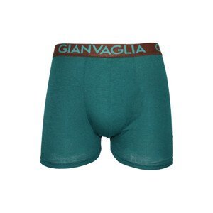 Pánské boxerky Gianvaglia zelené (024-green) XL