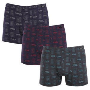 3PACK pánské boxerky Andrie vícebarevné (PS 5786) XL