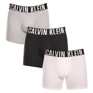 3PACK pánské boxerky Calvin Klein vícebarevné (NB3609A-MP1) L