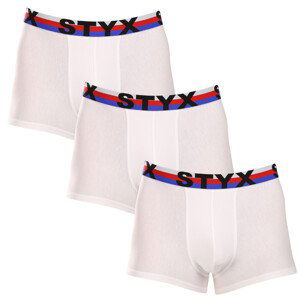 3PACK pánské boxerky Styx sportovní guma bílé trikolóra (3G2061) L