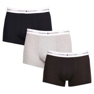 3PACK pánské boxerky Tommy Hilfiger vícebarevné (UM0UM02761 0YV) XXL