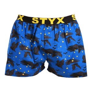 3PACK pánské trenky Styx art sportovní guma vícebarevné (3B14789) XL