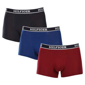 3PACK pánské boxerky Tommy Hilfiger vícebarevné (UM0UM03185 0SX) XXL