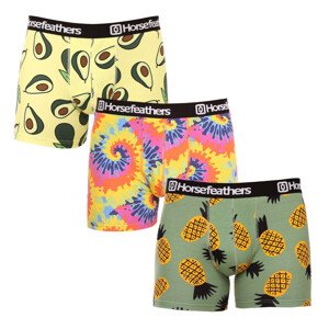 3PACK pánské boxerky Horsefeathers Sidney (AM164DGK) XL