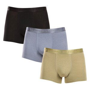 3PACK pánské boxerky Tommy Hilfiger vícebarevné (UM0UM02760 0Y3) M