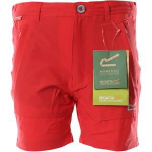 jiná značka REGATTA »Jnr Highton Shorts« šortky< Barva: Červená, Velikost: 128
