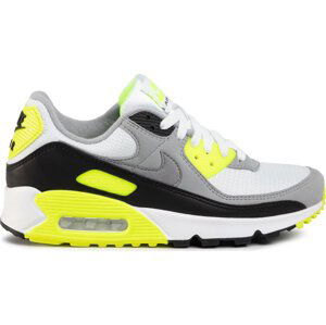 Sneakersy Nike Air Max 90 CD0881 103 Šedá