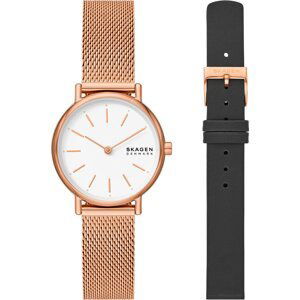 Hodinky Skagen SKW1153SET Zlatá