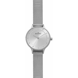 Hodinky Skagen Anita SKW2149 Silver/Steel/Silver/Steel