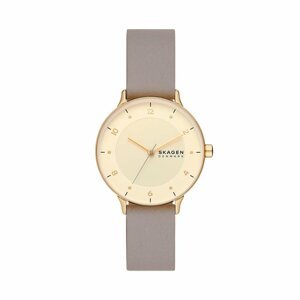 Hodinky Skagen SKW3091 Grey