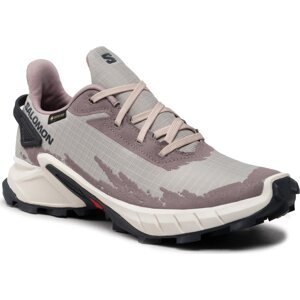 Boty Salomon Alphacross 4 Gtx W GORE-TEX 417232 20 V0 Ashes Of Roses/White/Ebony