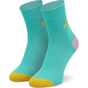 Dámské klasické ponožky Happy Socks BBS13-7000 Zelená