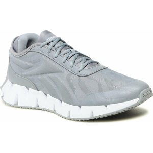 Boty Reebok Zig Dynamica 3 GW9453 Cdgry4/Pugry3/Ftwwht