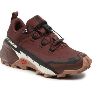 Trekingová obuv Salomon Cross Hike Gtx 2 W GORE-TEX 417306 20 V0 Bitter Chocolate/Mocha Mousse/Vanilla Ice