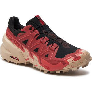 Boty Salomon Speedcross 6 Gore-Tex L47302100 Black / Cow Hide / Faded Rose