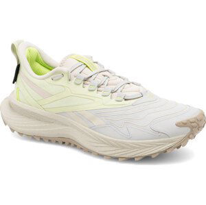 Boty Reebok Floatride Energy 5 Adventure 100025746 Yellow