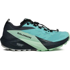 Boty Salomon Sense Ride 5 Gore-Tex L47216000 Blue Radiance/Green Ash/India Ink