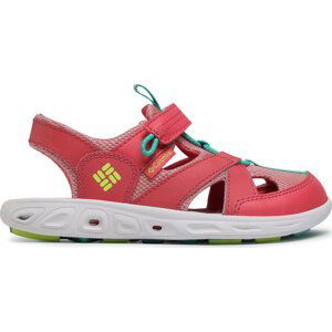 Sandály Columbia Youth Techsun Wave BY2082 Wild Salomon/Voltage 668