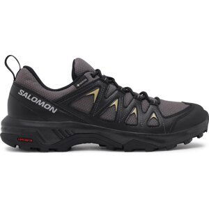 Trekingová obuv Salomon X Braze GORE-TEX L47180500 Magnet/Black/Gray Green