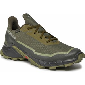 Boty Salomon Alphacross 5 Gtx GORE-TEX 473103 29 W0 Olive Night/Black/Deep Lichen Green