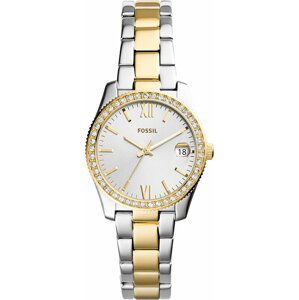 Hodinky Fossil Scarlette ES4319 Silver/Gold