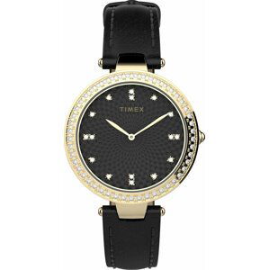 Hodinky Timex City TW2V45100 Black/Gold