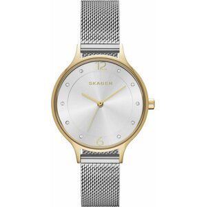 Hodinky Skagen Anita SKW2340 Silver/Steel/Gold