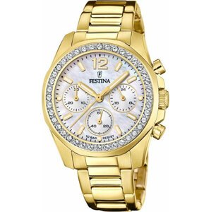 Hodinky Festina 20609/1 Gold